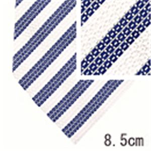 Ermenegildo Zegna (エルメネジルド ゼニア) ネクタイ N-ZEG-A00107 White系