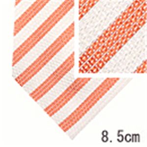 Ermenegildo Zegna (エルメネジルド ゼニア) ネクタイ N-ZEG-A00108 White系