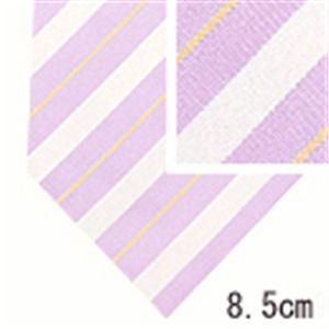 Ermenegildo Zegna (エルメネジルド ゼニア) ネクタイ N-ZEG-A00118 Purple系