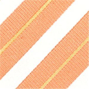 Ermenegildo Zegna (エルメネジルド ゼニア) ネクタイ N-ZEG-A00119 Orange系