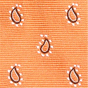 Ermenegildo Zegna (エルメネジルド ゼニア) ネクタイ N-ZEG-A00127 Orange系