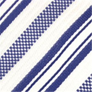 Ermenegildo Zegna (エルメネジルド ゼニア) ネクタイ N-ZEG-A00139 White系