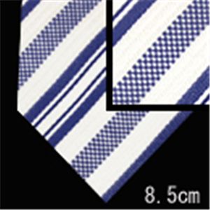 Ermenegildo Zegna (エルメネジルド ゼニア) ネクタイ N-ZEG-A00139 White系
