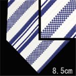 Ermenegildo Zegna (エルメネジルド ゼニア) ネクタイ N-ZEG-A00139 White系