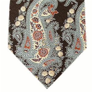 Ermenegildo Zegna (エルメネジルド ゼニア) ネクタイ N-ZEG-A00255 Brown系