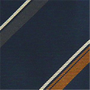 Ermenegildo Zegna (エルメネジルド ゼニア) ネクタイ N-ZEG-A00273 Blue系