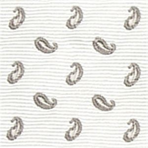 Ermenegildo Zegna (エルメネジルド ゼニア) ネクタイ N-ZEG-A00300 White系