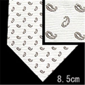Ermenegildo Zegna (エルメネジルド ゼニア) ネクタイ N-ZEG-A00300 White系