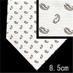 Ermenegildo Zegna (エルメネジルド ゼニア) ネクタイ N-ZEG-A00300 White系