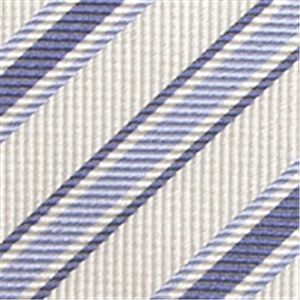 Ermenegildo Zegna (エルメネジルド ゼニア) ネクタイ N-ZEG-A00305 White系