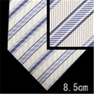Ermenegildo Zegna (エルメネジルド ゼニア) ネクタイ N-ZEG-A00305 White系