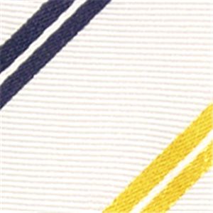 Ermenegildo Zegna (エルメネジルド ゼニア) ネクタイ N-ZEG-A00326 White系