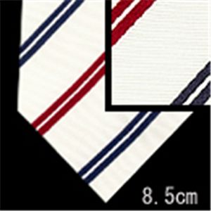Ermenegildo Zegna (エルメネジルド ゼニア) ネクタイ N-ZEG-A00327 White系
