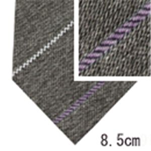 Ermenegildo Zegna (エルメネジルド ゼニア) ネクタイ N-ZEG-A00402 Gray系