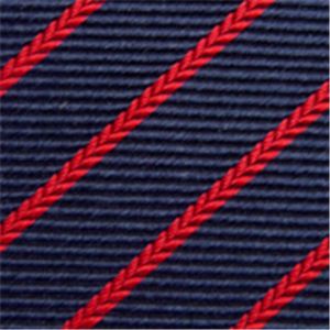 Ermenegildo Zegna (エルメネジルド ゼニア) ネクタイ N-ZEG-A00412 Blue系