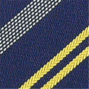 Ermenegildo Zegna (エルメネジルド ゼニア) ネクタイ N-ZEG-A00422 Blue系