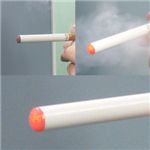 dq΂ ECO Smoker(GRX[J[j