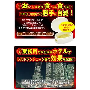 ゴキちゃんグッバイ!6個入り