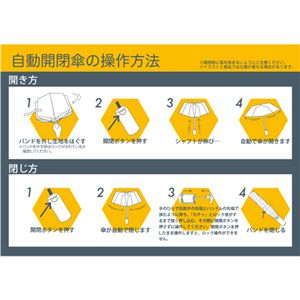 SCS eDRY自動開閉カサ ブラック