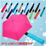 SCS eDRY自動開閉カサ