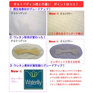 �C�^���A �t�@�x�А� �I���g�����[��