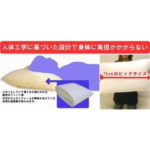 �C�^���A �t�@�x�А� �I���g�����[��