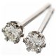 �ڹ��ʼ��ε�������Pt900 ������0.1ct�����åɥԥ��� �̿�2