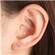 �ڹ��ʼ��ε�������Pt900 ������0.1ct�����åɥԥ��� �̿�3