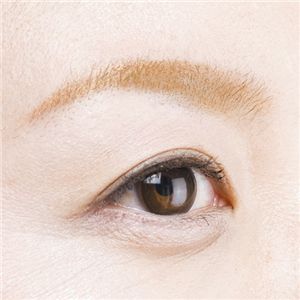 ���y�� �c���u�� ���C�g�u���E��