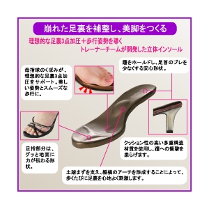 �V�F�C�v�]�[�� BIKYAKU �u�����Y L�T�C�Y
