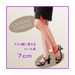 �V�F�C�v�]�[�� BIKYAKU �u�����Y L�T�C�Y
