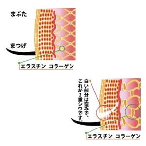 �r���[�e�B�[�f�B�v���P�[�V����