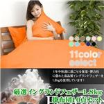 �y5��27����菇�������z���I�C���O�����h�t�F�U�[1.8kg�|�z�c10�_�Z�b�g �x�[�W��