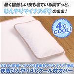 NASA�J���n�C�e�N�⊴�f�ރA�E�g���X�g�g�p�����Ђ���4���N�[�����J�o�[