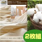 �y���Ԍ���z���Y���Y���G�R�e�b�N�X�K�i100�F�؁@5�d�K�[�[�P�b�g�y2���g�z