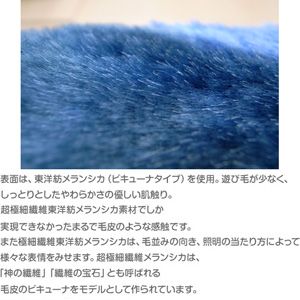 �f�B�Y�j�[�}�C���[���O�@�u�N�Ƃ��܂ł��v�����`130cm�~185cm