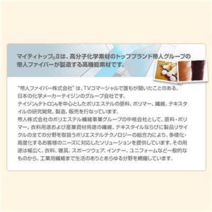 テイジン共同企画 硬綿入り3つ折りマットレス シングル アイボリー