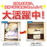 圧縮しま専科 ワイド ブラウン