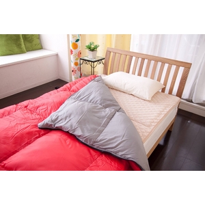 �z���C�g�_�b�N�_�E��85%�H�ѓ���Q�܁i�V�����t�j ���b�h 