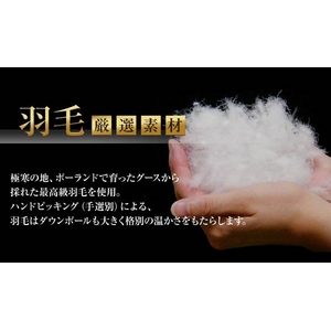 ポーランド産ハンドピックホワイトグースダウン95% 羽毛掛布団 ボリュームタイプ ダブル モカブラウン