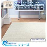 マイナス2℃ひんやりシリーズ 接触冷感カーペット フリーズ 190×240cm クールシルバー