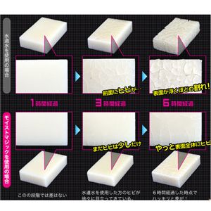 ���C�X�g�}�W�b�N �X�L�����[�V���� 500ml