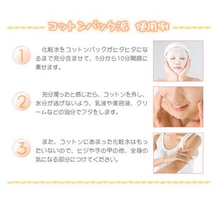 ���C�X�g�}�W�b�N �X�L�����[�V���� 500ml