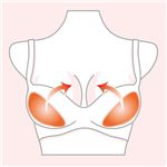 シークレットスタイル シリコンパッド ウルトラタイプ(丸型)&美乳タイプ(レモン型)2個セット