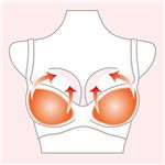シークレットスタイル シリコンパッド ウルトラタイプ(丸型)&美乳タイプ(レモン型)2個セット