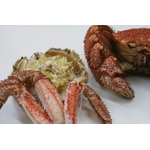 �N�Ɉ�x�̗��X�����ъI�@�R���Z�b�g