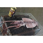 �̳�ƻBBQ����­���åȡ�4����〜6������