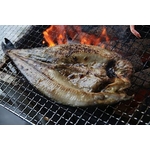 �̳�ƻ�ؤ褯�Ф��BBQ���åȡ�������դ���4����〜6������