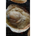 �̳�ƻ�ؤ褯�Ф��BBQ���åȡ�������դ���4����〜6������