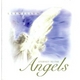 �yJourney to the Angels CD�z�q�[�����O���yNEW WORLD  